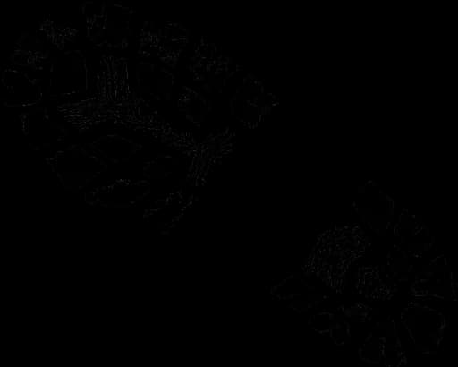 Vector-Shoe-Footprints-PNG-HD