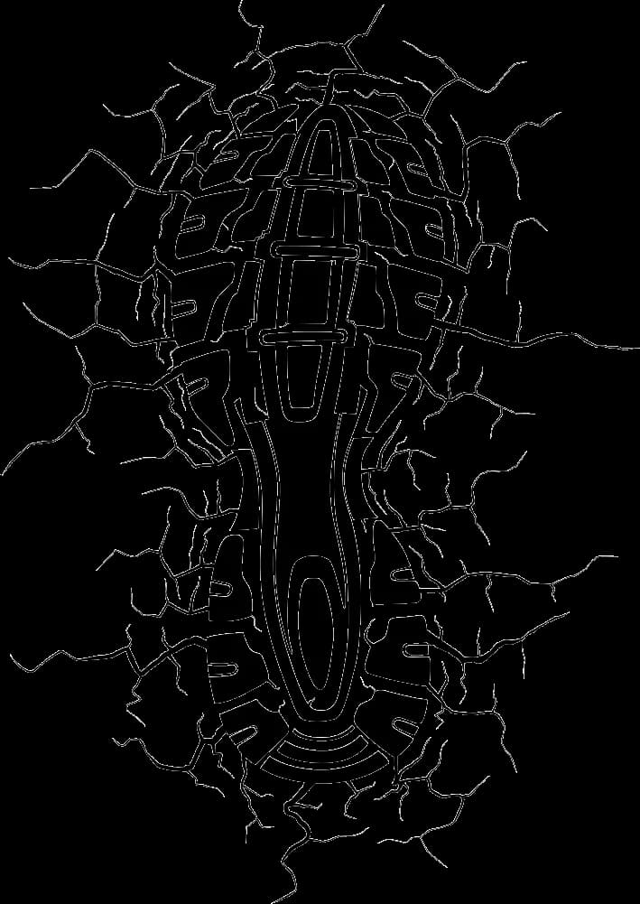 Vector-Shoe-Footprints-PNG-Photos