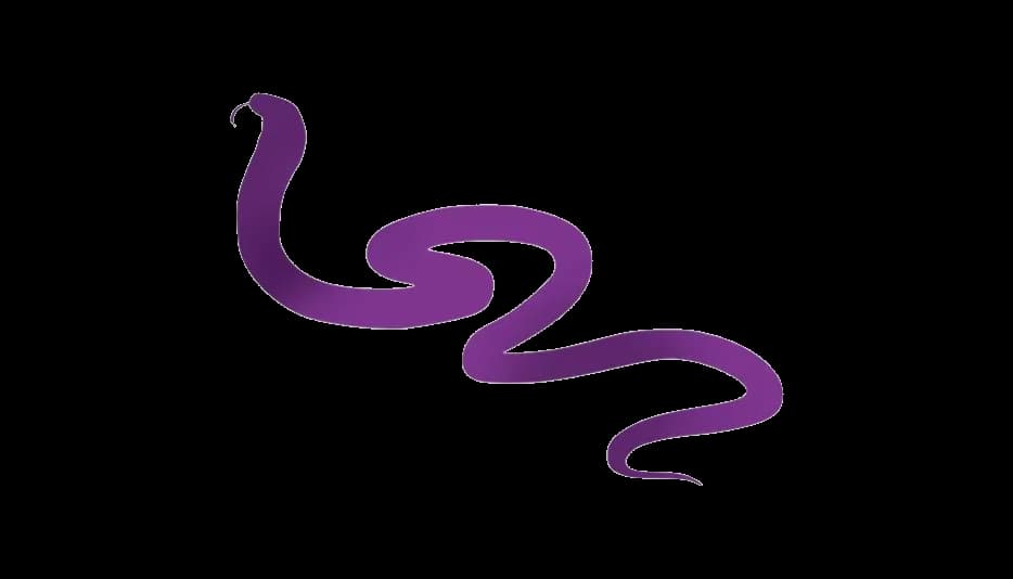 Vector-Snake-PNG-Photo