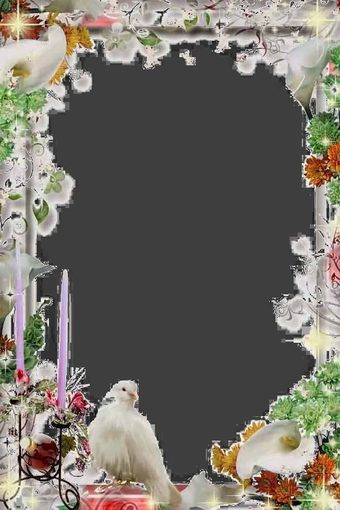 Wedding-Frame-PNG-Transparent-File