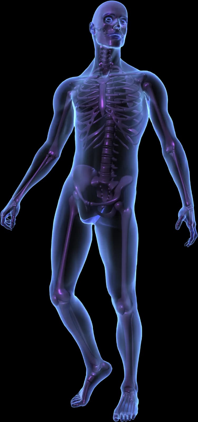 X-Ray-PNG-HD