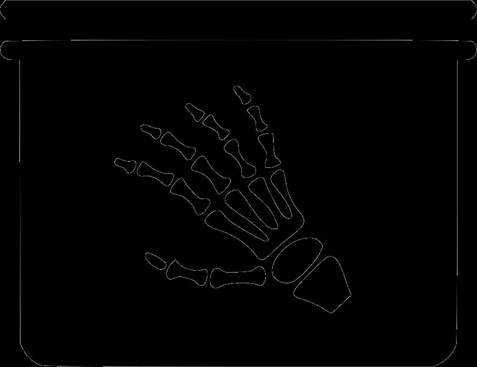 X-Ray-PNG-Isolated-HD