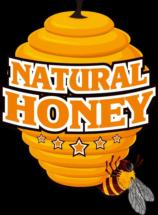 Yellow-Honey-Bee-Vector-PNG-Photos
