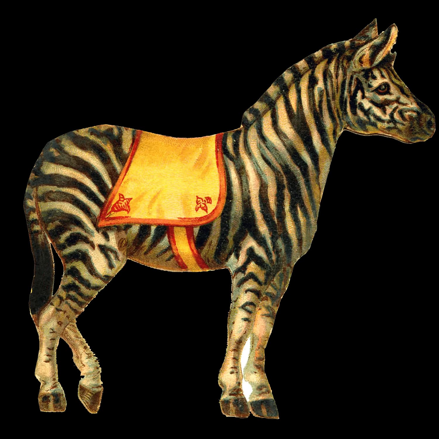 Zebras-PNG-Pic