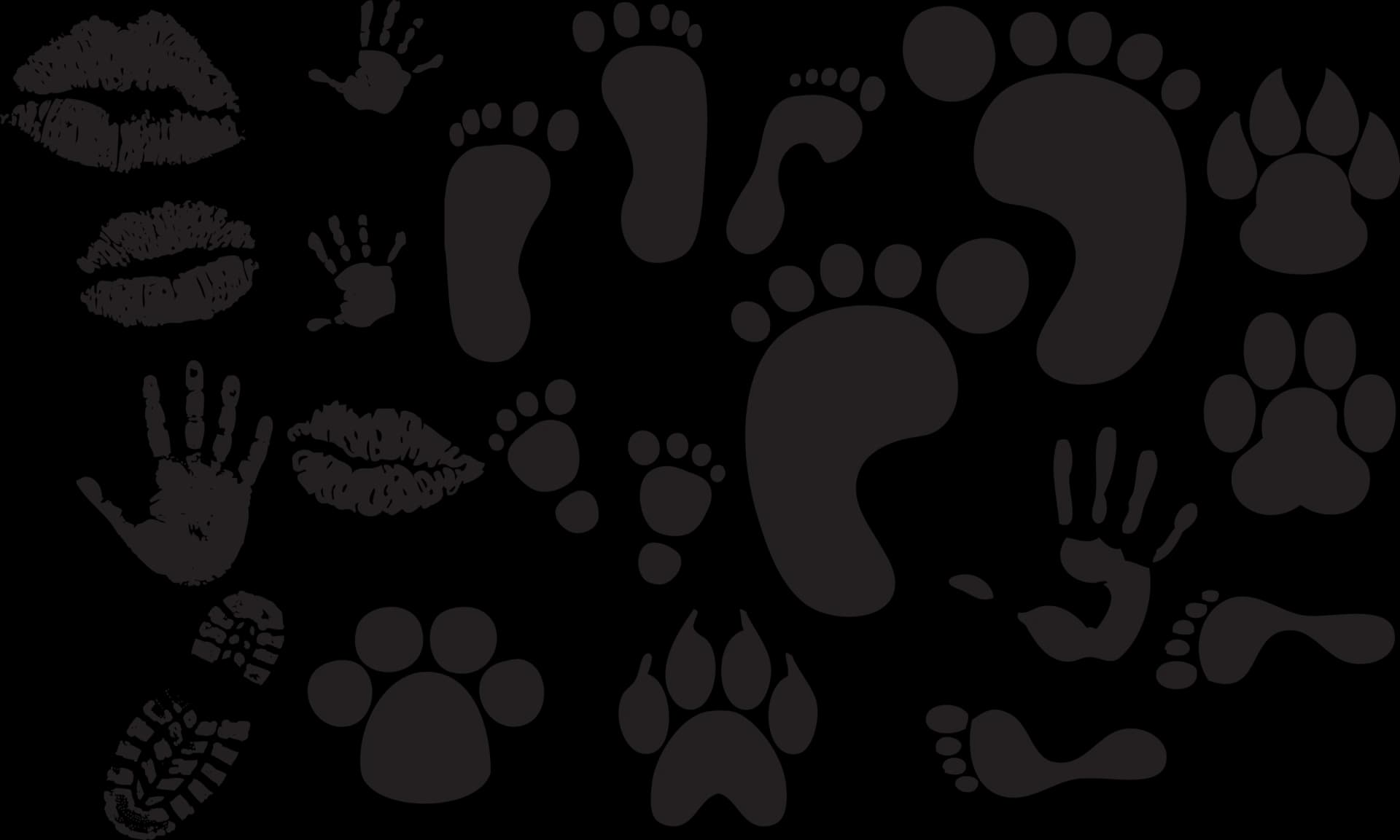Animal Footprints, Trail Signs, Wildmark Paths, Creature Trails, Wildlife Tracks PNG