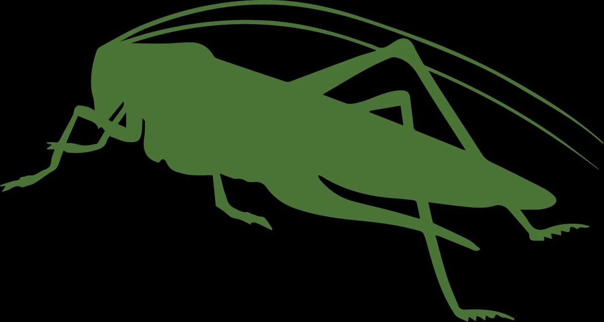 Bush Crickets, Biodiversity, Wildlife Observation, Insect Life, Nature Sounds PNG