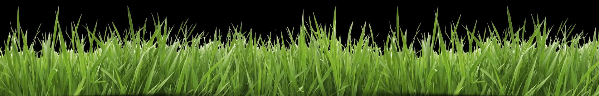 Fake Grass, Outdoor Aesthetics, Artificial Turf, Landscaping Solution, Synthetic Lawn PNG