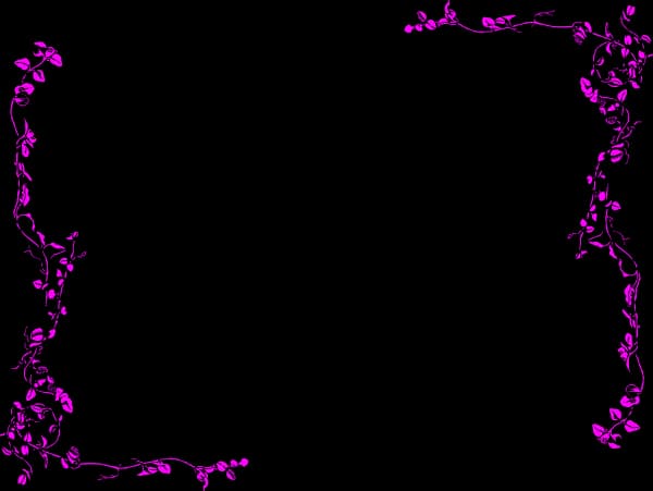 Fuchsia Border, Floral Frame, Bright Decoration, Colorful Trim, Vibrant Outline PNG