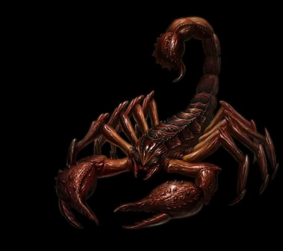 Scorpion Arachnids, Nocturnal Hunters, Exoskeleton Armor, Eight-Legged Predators, Venomous Creatures PNG
